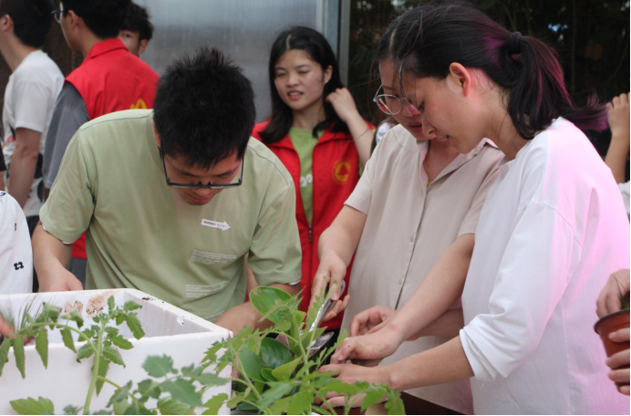 将劳动教育课开在植物工厂上——我院开展以劳育人劳动实践教育主题活动